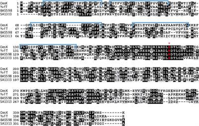 Corrigendum: Identification of novel thermosensors in gram-positive pathogens